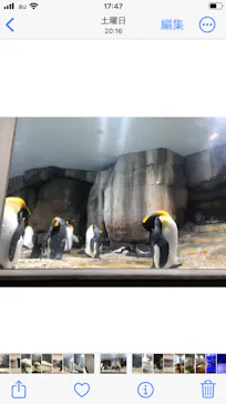 仙台うみの杜水族館に投稿された画像（2026/5/18）