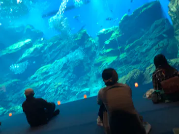 仙台うみの杜水族館に投稿された画像（2026/5/18）