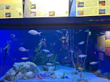 竹島水族館に投稿された画像（2026/5/18）