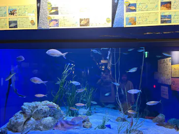 竹島水族館に投稿された画像（2026/5/18）