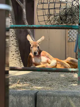 日立市かみね動物園に投稿された画像（2026/5/18）