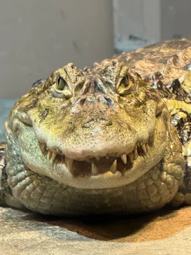 日立市かみね動物園に投稿された画像（2026/5/18）