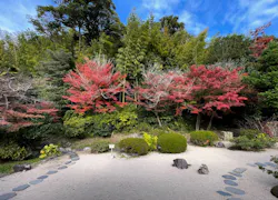 小泉八雲記念館・小泉八雲旧居に投稿された画像（2026/5/18）