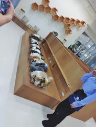 Cat Café MOFF イーアス沖縄豊崎店に投稿された画像（2026/5/18）