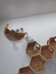 Cat Café MOFF イーアス沖縄豊崎店に投稿された画像（2026/5/18）