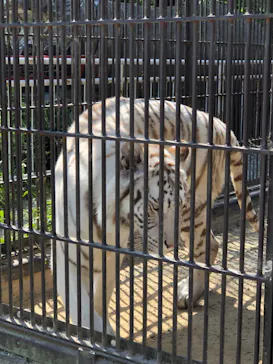 宇都宮動物園に投稿された画像（2026/5/18）