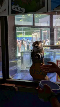ゼロ距離水族館 伊勢シーパラダイスに投稿された画像（2026/5/18）