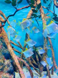 竹島水族館に投稿された画像（2026/5/19）
