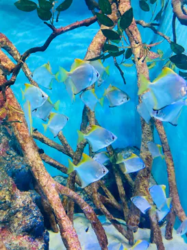 竹島水族館に投稿された画像（2026/5/18）