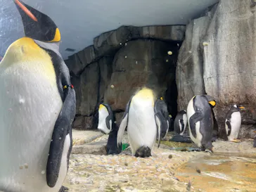 仙台うみの杜水族館に投稿された画像（2026/5/18）