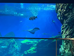 仙台うみの杜水族館に投稿された画像（2026/5/18）