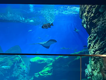 仙台うみの杜水族館に投稿された画像（2026/5/18）