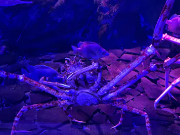 仙台うみの杜水族館に投稿された画像（2026/5/18）