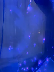 仙台うみの杜水族館に投稿された画像（2026/5/18）