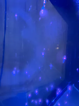 仙台うみの杜水族館に投稿された画像（2026/5/18）