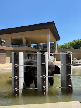 天王寺動物園に投稿された画像（2026/5/19）