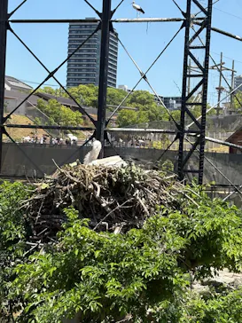 天王寺動物園に投稿された画像（2026/5/19）