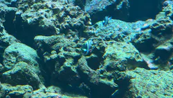 葛西臨海水族園に投稿された画像（2026/5/19）