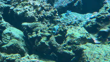 葛西臨海水族園に投稿された画像（2026/5/19）