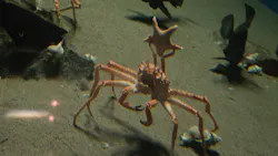 葛西臨海水族園に投稿された画像（2026/5/19）