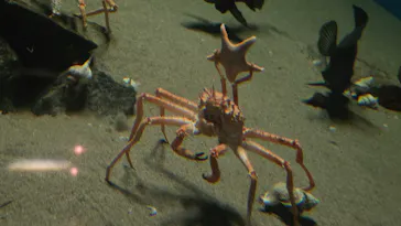葛西臨海水族園に投稿された画像（2026/5/19）