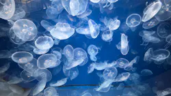 葛西臨海水族園に投稿された画像（2026/5/19）