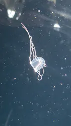 葛西臨海水族園に投稿された画像（2026/5/19）