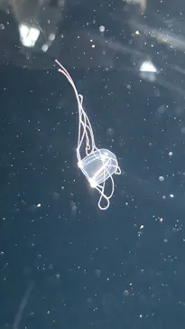 葛西臨海水族園に投稿された画像（2026/5/19）