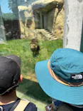 千葉市動物公園に投稿された画像（2026/5/19）