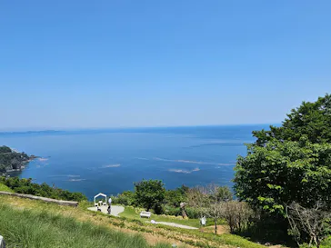 ACAO FORESTに投稿された画像（2026/5/19）