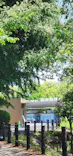 恩賜上野動物園に投稿された画像（2026/5/19）