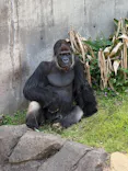 千葉市動物公園に投稿された画像（2026/5/19）