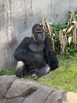 千葉市動物公園に投稿された画像（2026/5/19）