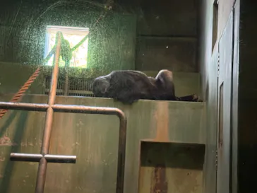 千葉市動物公園に投稿された画像（2026/5/19）