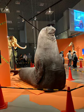 特別展「超危険生物展　科学で挑む生き物の本気」に投稿された画像（2026/5/19）