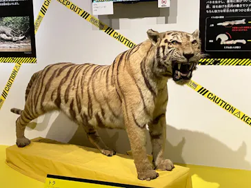 特別展「超危険生物展　科学で挑む生き物の本気」に投稿された画像（2026/5/19）