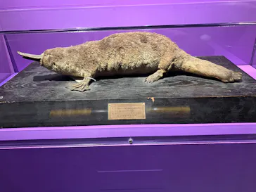 特別展「超危険生物展　科学で挑む生き物の本気」に投稿された画像（2026/5/19）