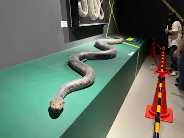 特別展「超危険生物展　科学で挑む生き物の本気」に投稿された画像（2026/5/19）