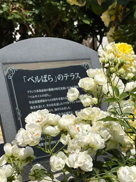 京成バラ園に投稿された画像（2026/5/19）