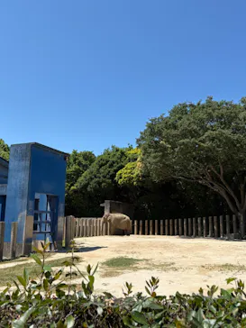 千葉市動物公園に投稿された画像（2026/5/19）