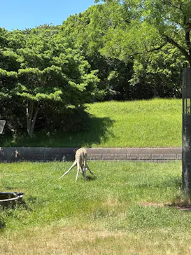 千葉市動物公園に投稿された画像（2026/5/19）