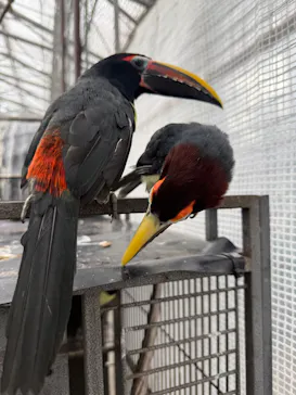 掛川花鳥園に投稿された画像（2026/5/19）