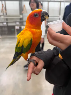 掛川花鳥園に投稿された画像（2026/5/19）