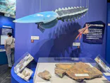 大絶滅展ー生命史のビッグファイブ（名古屋会場）に投稿された画像（2026/5/19）