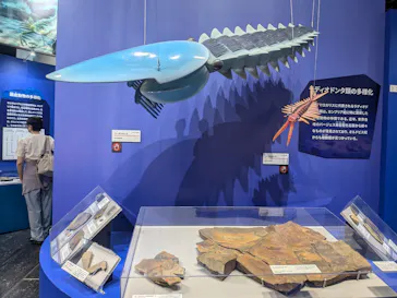 大絶滅展ー生命史のビッグファイブ（名古屋会場）に投稿された画像（2026/5/19）