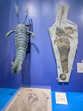 大絶滅展ー生命史のビッグファイブ（名古屋会場）に投稿された画像（2026/5/19）