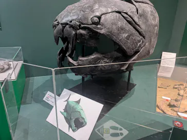 大絶滅展ー生命史のビッグファイブ（名古屋会場）に投稿された画像（2026/5/19）