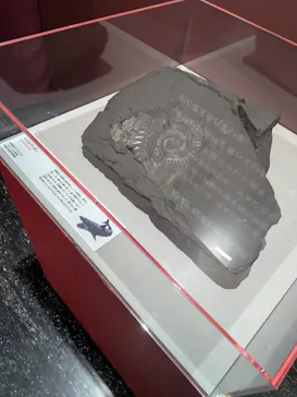 大絶滅展ー生命史のビッグファイブ（名古屋会場）に投稿された画像（2026/5/19）