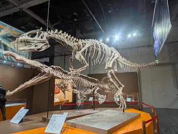 大絶滅展ー生命史のビッグファイブ（名古屋会場）に投稿された画像（2026/5/19）