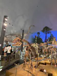 福井県立恐竜博物館に投稿された画像（2026/5/19）
